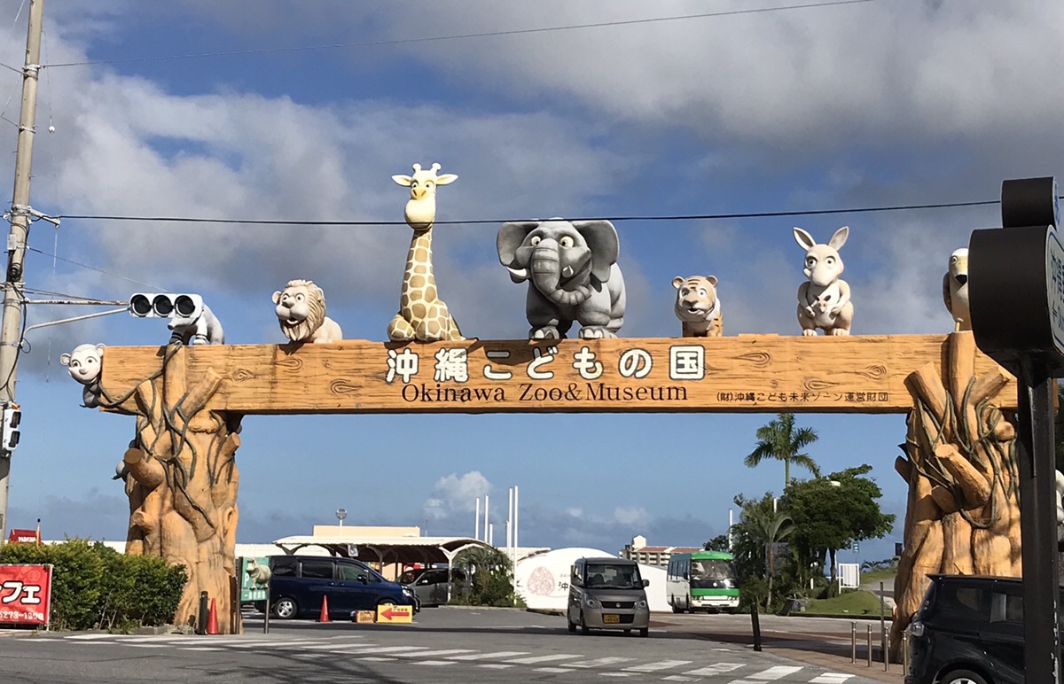 沖縄唯一の動物園こどもの国に新しくライオン舎ができてた！