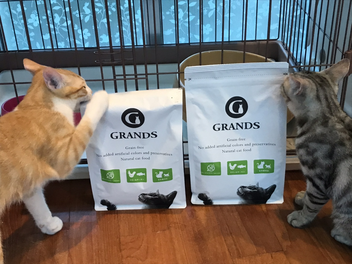 【グランツ・口コミ】GRANDSを愛猫に実際に与えてみた感想